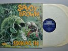RARE - SAVOY BROWN - LOOKING IN - UK 1ST PRESS STEREO 1970 DECCA SKL 5066 - VG+