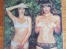 ROXY MUSIC  -  COUNTRY LIFE -  PINK RIM -  EX/EX
