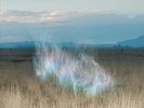 Hollie Kenniff : The Gathering Dawn VINYL 12