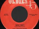 IRRIDESCENTS Bali Ha'i / Swamp Surfer 7 INCH VINYL USA Oldies 45 Reissue - Clean