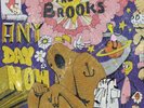 THE BROOKS - Any Day Now (Gatefold) Vinyl 2LP Neu
