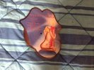 ROLLING STONES  PICTURE DISC  SHE WAS HOT
