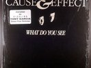 Cause & Effect ?– What Do You See 12