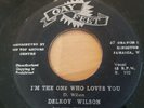 Reggae 45 - Delroy Wilson ' I'm the One Who Loves You - The Soul Rythmns - Tribu