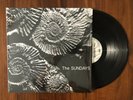 THE SUNDAYS - READING, WRITING AND ARITHMETIC [VINYL] RSD 2018 Rare Limited
