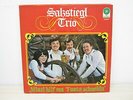 LP / Salzstiegl Trio - Miazl hilf ma     / VM Records  / AUSTRIA / RAR /