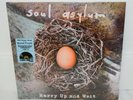 Soul Asylum - Hurry Up and Wait - RSD 2020 2LP w/ 7