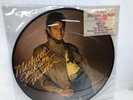 MICHAEL JACKSON Thriller Picture Disc Original 1983 release CBS Epic 8E8-38867