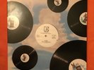 Queen- Body Language- Elektra Records Promotional Copy- 12” Vinyl - 1982