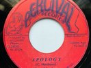 Clive Matthews - Apology / Version - Percival Records