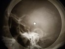 Elvis Presley - Surrender X-RAY OF USSR X-RAY BONE RECORD