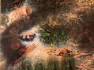 Pink Floyd - A Saucerful of Secrets 1968.    SCX 6258 Stereo