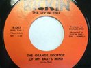 THE LIV'IN END The Orange Rooftop Of My Baby's Mind - RICKIN - Texas Garage RARE