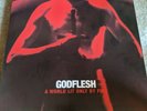 Godflesh - A World Lit Only By Fire (Black Vinyl Album, Avalanche Records 2014)