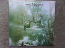 FRESH MAGGOTS-Self Titled LP Sunbeam Records SBRLP5002 Reissue '71 Rock