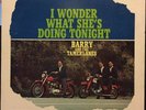 BARRY And The TAMERLANES I Wonder What She's Doing Tonight Valiant LP 406 1963