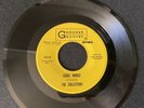 THE COLLECTORS. Cruel World / I Still Love You RARE SOUL 45