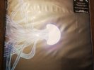 Elephant Tree Self Titled Album 12