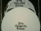 Clandestine Blaze - New Golgotha Rising Lp Deathspell Omega Sargeist Satanic...