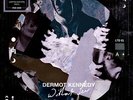 Dermot Kennedy - Without Fear Vinyl LP Picture Disc RSD 2020 Neu