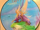 prog  ELOY 