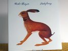 Vashti Bunyan - Lookaftering 2005 LP Vinyl