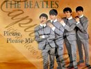 60S MERSEY BEAT POP PARLOPHONE THE BEATLES PLEASE PLEASE ME PICTURE SLEEVE