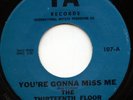 HEAR - Rare Garage 45 - The 13th Floor Elevators - You're Gonna Miss Me - IA 107