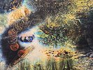 Pink Floyd ?– A Saucerful Of Secrets VINYL LP NEW SEALED