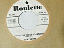 Jimmy Lloyd-Where The Rio DeRosa Flows b/wThe Beginning Of The End-PROMO-7