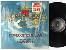 Spirit Of Love - Power Of Your Love LP - Birthright Shrink