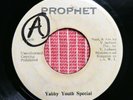 Wayne Wade - Lord of Lords - Reggae 45 - Prophet
