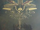 CARCASS  SURGICAL STEEL  LIMITED BOX  EDITION NUCLEAR BLAST USA  EXCLUSIVE