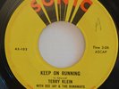 TERRY KLEIN / DEE JAY & THE RUNAWAYS 