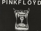2 LP PINK FLOYD Pictures Of / Live concert - Topsound Quality QR 179101 - NEW  *