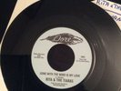 Rita & The Tiaras - Gone With The Wind Is My Love- Rare Re Issue In Ex Condition