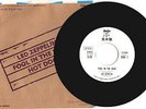 LED ZEPPELIN - FOOL IN THE RAIN / HOT DOG - SUPER RARE  JAPAN PROMO 45' Vinyl PS