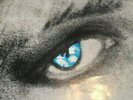 EVOLUTION - METROPOLIS 12