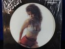 THE LEE AARON PROJECT Picture Disc LP hard rock/metal/cheesecake sexy Lisa Lyons