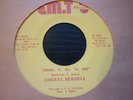 cheryl berdell giving it all to you emt  usa orig 45 northern soul chicago