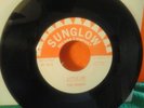 THE SOUNDS 45rpm SUPER RARE Little Joe/You Could Never Be Mine 1967 Sunglow NM