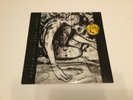 FISH LP ( Songs From The Mirror ).