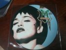 Madonna  picture disc immaculate