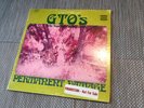 Rare, promo, white lGIRLS TOGETHER OUTRAGEOUSLY GTO’S PERMANENT DAMAGE WLP Vinyl