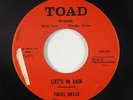 Garage Fuzz/Mod 45 - Tinsel Mecca - Life's In Vain - Toad - mp3 - unknown?