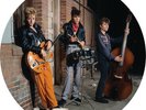 Stray Cats - Live At The Roxy 1981 [New Vinyl LP] Picture Disc