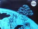 Push - Universal Nation - LIMITED GOLD EDITION - Bonzai - NEW/OVP STILL SEALED