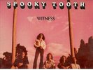 Spooky Tooth         Gary Wright       7-LP's