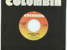 Hubert Laws Family / Wildfire EX Jazz Funk Columbia 1-11368 1980 45
