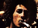 CATCH A FIRE